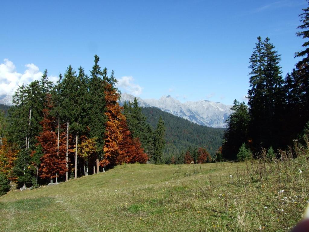 Hotel Menthof Seefeld in Tirol Chambre photo